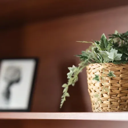 Promenade Rooftop Flat Appartement