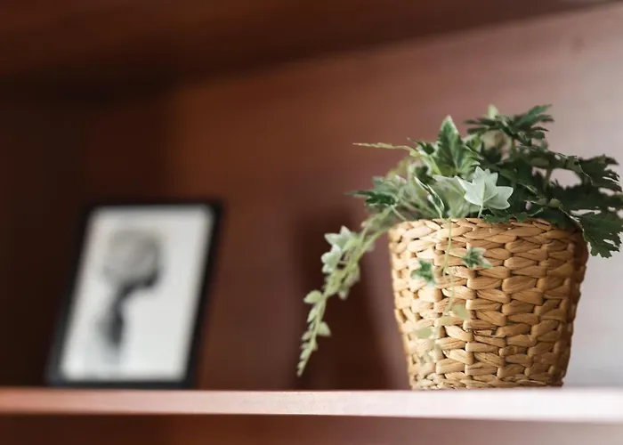 Promenade Rooftop Flat Appartement